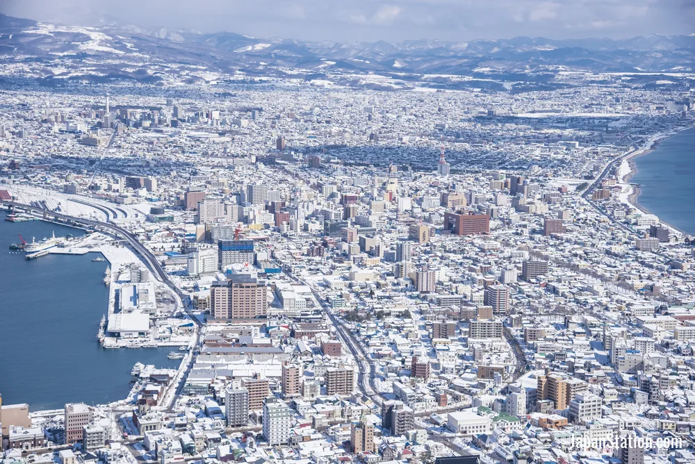 Aerial view of Hakodate.