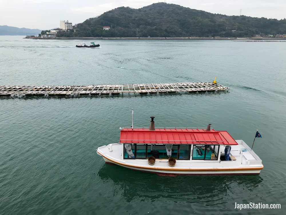 Toba